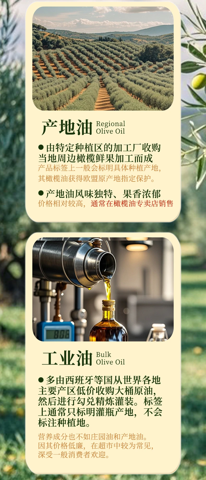 E5详情页原有橄榄油来源介绍图