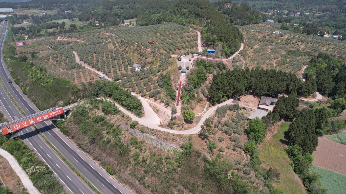 示范基地航拍