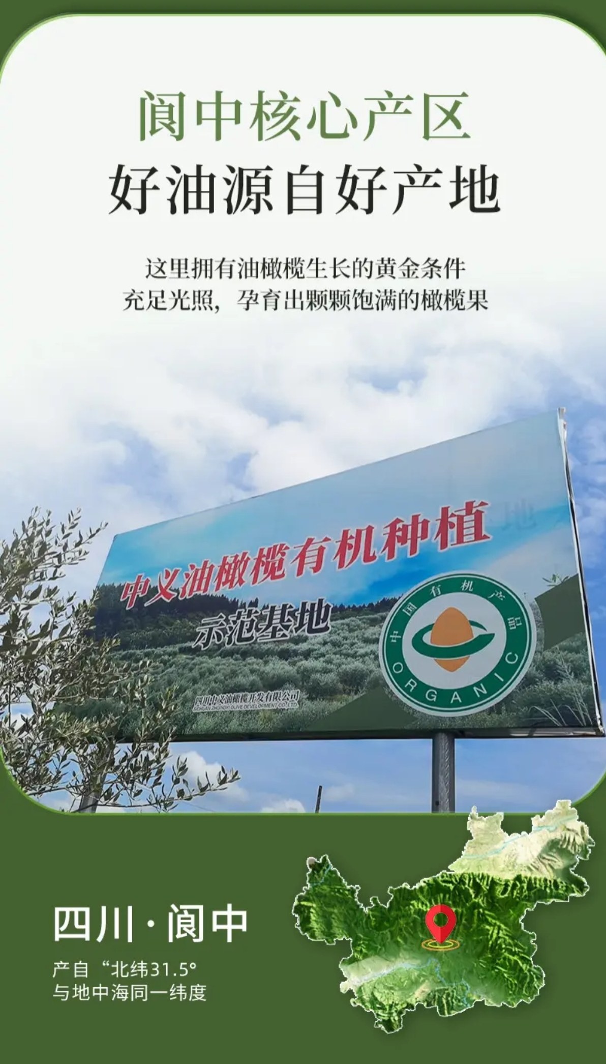 阆中产区